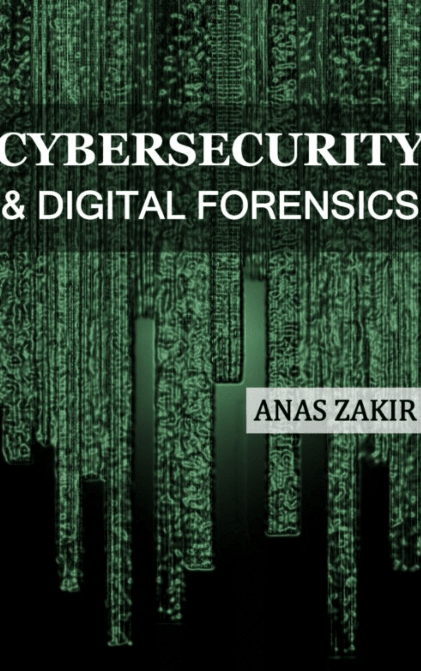 17-2.png Cybersecurity & Digital Forensics