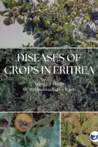 Diseases Of Crops In Eritrea