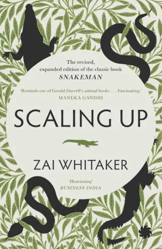 SCALING UP