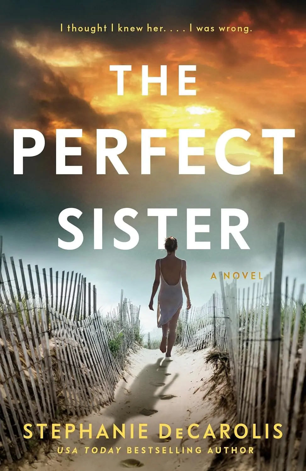 81tRJkczmL._SL1500_.jpg The Perfect Sister: A Novel