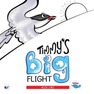 Timmy's Big Flight: In search of an endless summer