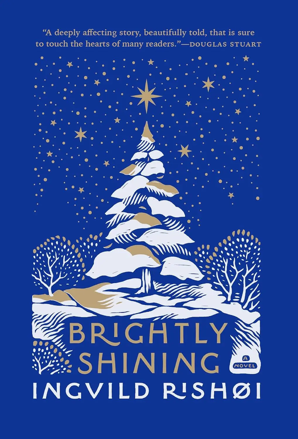 81+LXyAW4yL._SL1500_ Brightly Shining