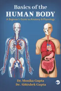 Basics Of The Human Body: A Beginner's Guide to Anatomy & Physiology