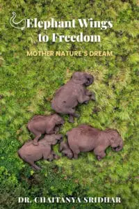 Elephant Wings to Freedom: Mother Nature’s Dream
