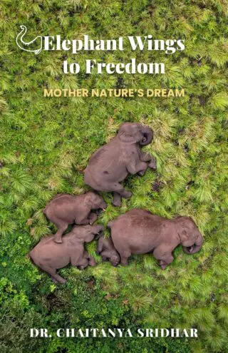 Elephant Wings to Freedom: Mother Nature’s Dream