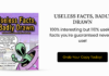 Useless Facts, Badly Drawn