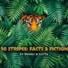 98 stripes facts and fiction