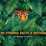 98 stripes facts and fiction