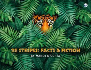 98 stripes facts and fiction