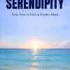seven days to serendipity: from chaos to calm in the paradise of serendib