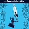 Anesthesia