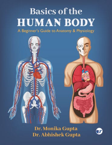 Basics Of The Human Body: A Beginner's Guide to Anatomy & Physiology